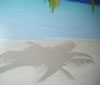 L'ombre du cocotier sur le sable